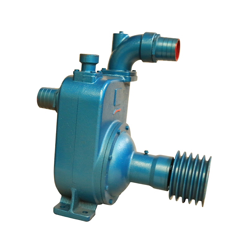 Спрос на самовсасывающие насосы для орошения спринклеров растет по мере того, как домовладельцы расширяют возможности орошения газонов и садов